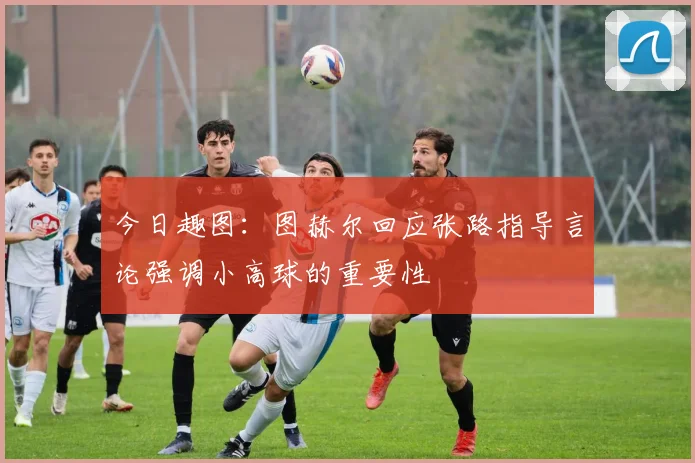 今日趣图：图赫尔回应张路指导言论强调小高球的重要性