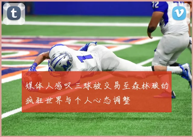媒体人感叹三球被交易至森林狼的疯狂世界与个人心态调整